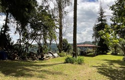 SALENTO, Quindio 631027