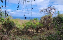 Cra. 3 #5-50, Tubará, Atlántico, Colombia, Tubará, Atlantico 081020