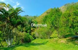 Cl. 7 #16-14, Pacho, Cundinamarca, Colombia, Pacho, Cundinamarca 254001