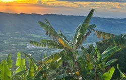 Guaduas, Cundinamarca
