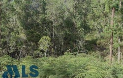 lot: E 2, El Retiro, El Retiro