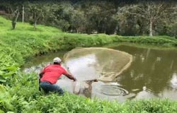Guaduas, Cundinamarca