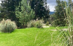 Los Robles Bosque Residencial 254, Cajicá, Cajica, Cundinamarca,, Cundinamarca