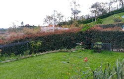 VEREDA HOJAS ANCHAS, Guarne, Antioquia 054058