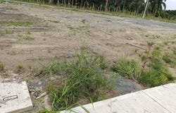 Villagorgona, La Gorgona, Candelaria, Valle del Cauca, Colombia, Candelaria, Valle del Cauca 763579