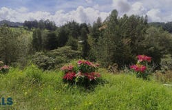 lot: E, El Retiro, El Retiro