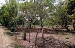 Jamundí, Valle del Cauca, Colombia, Cali, Valle del Cauca