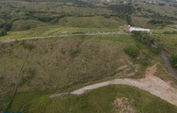 unit: 0, Pereira, Pereira