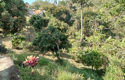 ANGELOPOLIS, Angelópolis, Antioquia