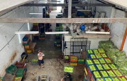 Crr 36 51 - 56, Centro, Medellín, Antioquia,, Medellin, Antioquia