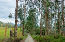 Cl. 7 #16-14, Pacho, Cundinamarca, Colombia, Pacho, Cundinamarca 254001
