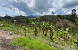 VEREDA LA ENEA, Girardota, Antioquia