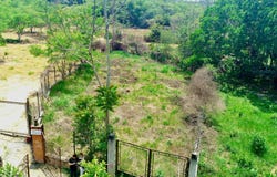 LOTE 1 SECTOR TONZAGA III, Floridablanca, Santander