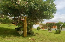 San Bernardo, Dagua, Valle del Cauca, Colombia, Dagua, Valle del Cauca 760529