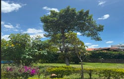 Popayán, Cauca, Colombia, Popayán, Cauca