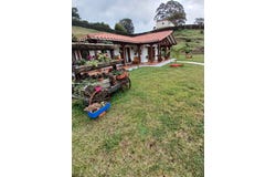 7J3M+VG, San Vicente, Vda. Chaparral, San Vicente, Antioquia, Colombia, San Vicente Ferrer, Antioquia 054017