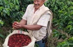 Unnamed Road, Fredonia, Antioquia 055070