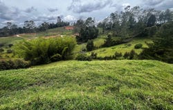 San Vicente, Antioquia, Colombia, San Vicente Ferrer, Antioquia 054017