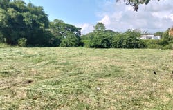 Condominio Campestre La Morada, Jamundí, Valle del Cauca 764007