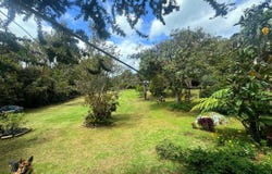 PERICO ENVIGADO, Envigado, Antioquia