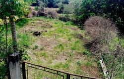 LOTE 1 SECTOR TONZAGA III, Floridablanca, Santander