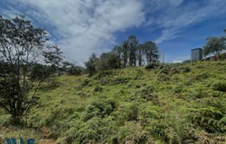 El Retiro, Antioquía
