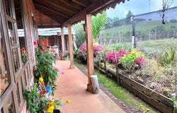 Paipa, Boyaca