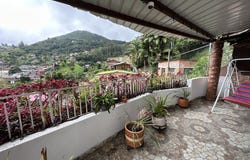 Felidia, Felidia, Valle del Cauca 760009