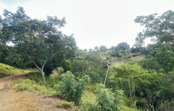 Soledad, Atlantico