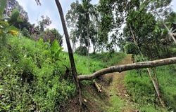 Bella Suiza, Cali, Valle del Cauca, Colombia, Cali, Valle del Cauca