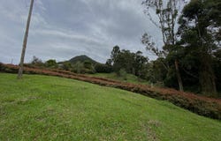 La Ceja, Antioquía