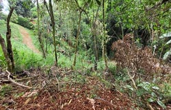 Bella Suiza, Cali, Valle del Cauca, Colombia, Cali, Valle del Cauca