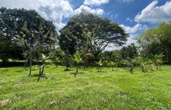 Potrerito, Jamundí, Valle del Cauca, Colombia, Jamundí, Valle del Cauca 764007