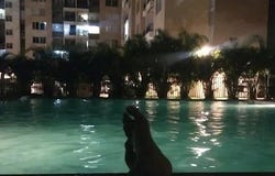 Cra. 112, Cali, Valle del Cauca, Colombia, Cali, Valle del Cauca 760030