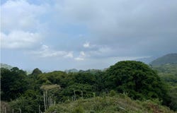 Minca, Magdalena, Magdalena 470008