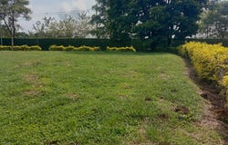 Pereira, Risaralda