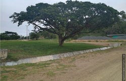CERRO DULCE, Andalucía, Valle del Cauca 763010