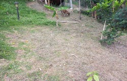 vereda la matica Girardota, Girardota, Antioquia