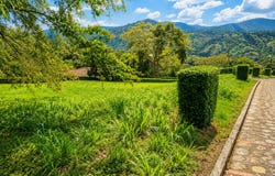 Anapoima, Cundinamarca 252640