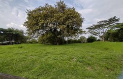 LOTE PARCELACIÓN SOLARES DE LA MORADA ETAPA XII LOTE 3 MANZANA B, Solares de la Morada, Jamundi, Valle del Cauca,, Valle del Cauca