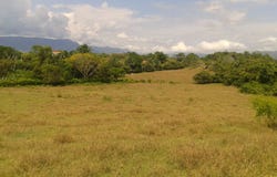 Carmen De Apicala, Tolima