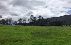TOCANCIPA, Cundinamarca 251017