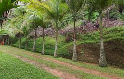 Cra. 2b Oe. #15 - 15, Cali, Valle del Cauca, Colombia, Cali, Valle del Cauca 760043