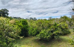 JG6C+J5 La Mesa, Cundinamarca, Colombia, La Mesa, Cundinamarca 252601