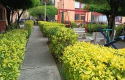 Cl. 55 # 1-54, Barranquilla, Cali, Valle del Cauca, Colombia, Cali, Valle del Cauca 760002