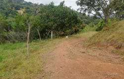El Higueron, Anapoima, Cundinamarca, Colombia, Anapoima, Cundinamarca 252647