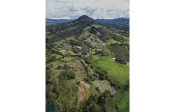 Rionegro, Antioquía