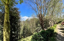 Marinilla, Antioquia, Colombia, Rionegro, Antioquia