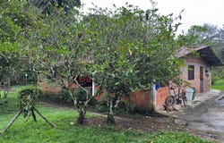 Puerto Lleras, Meta