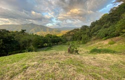 Venecia, Antioquia, Colombia, Venecia, Antioquia 056420